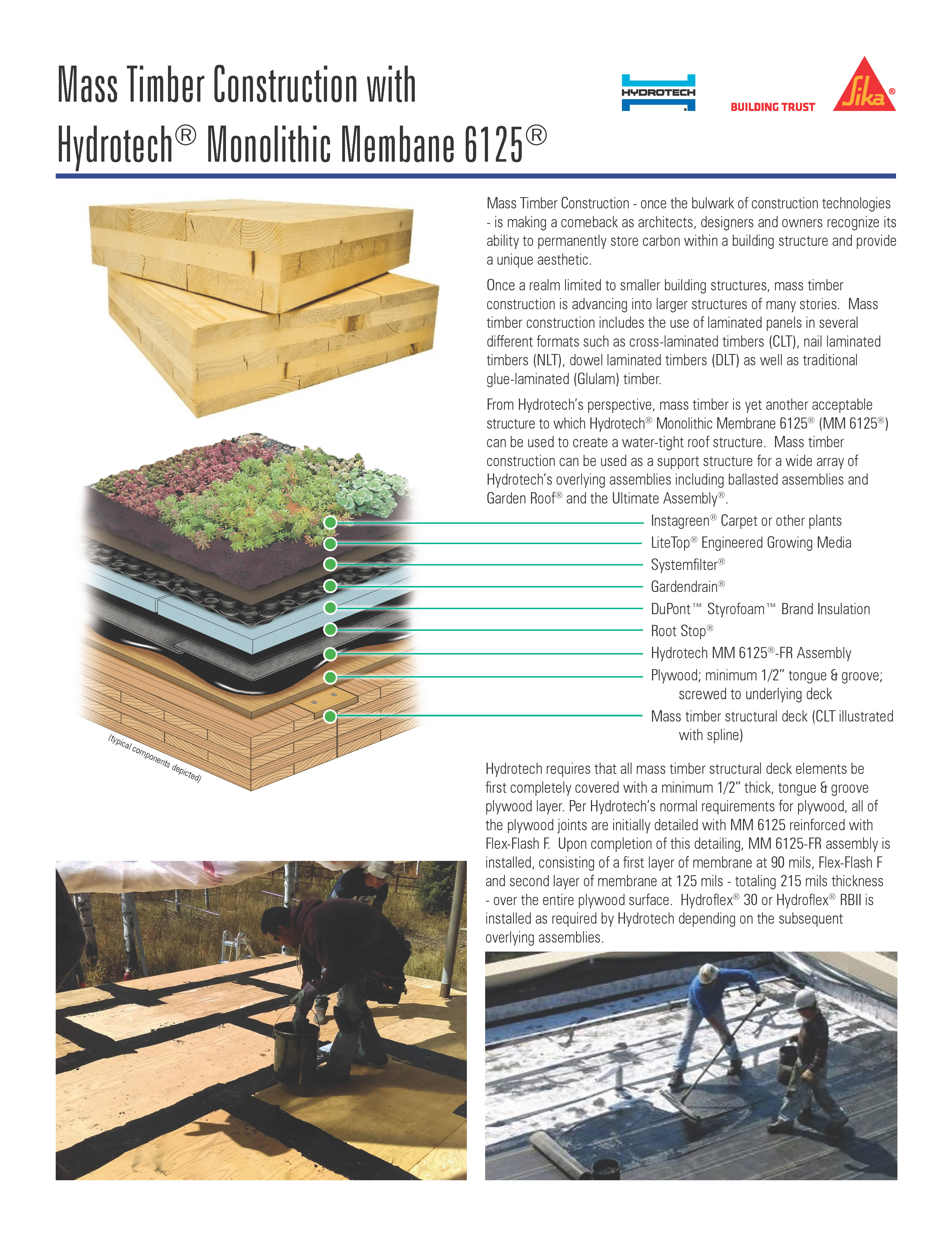 Mass Timber Construction with MM 6125