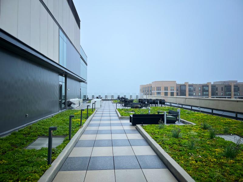George Mason University
