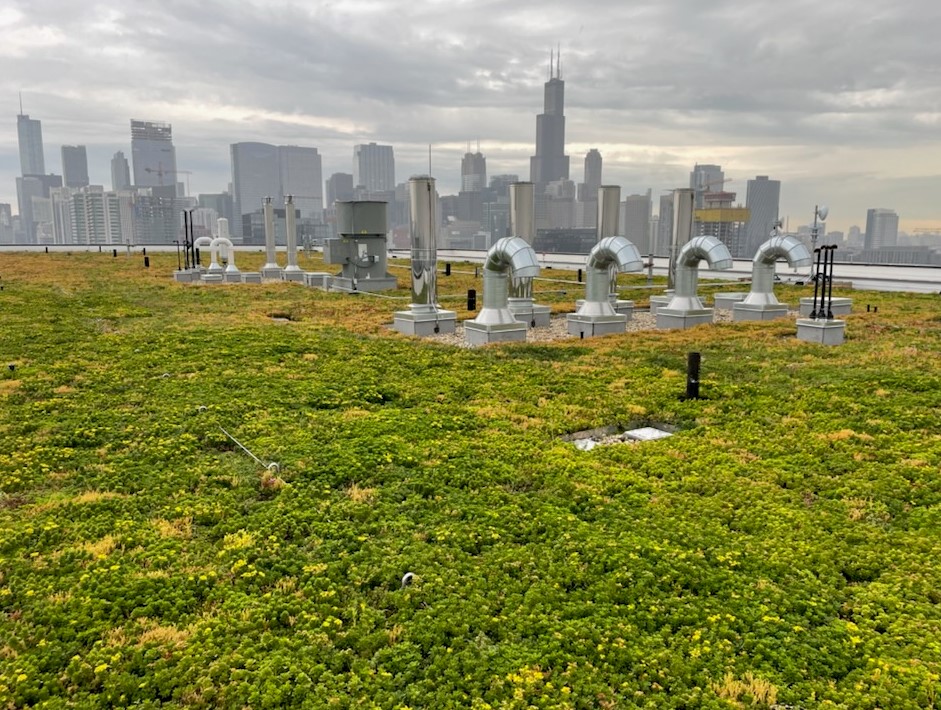 Hydrotech Garden Roof® on 400 North Aberdeen Office - Chicago 400 North Aberdeen Office Green Roof with Skyline view of Chicago