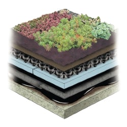 Extensive Shallow Green Roof