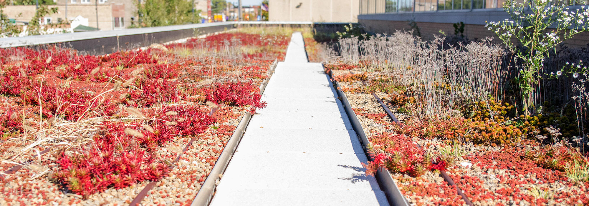 Garden Roof Assembly FAQ