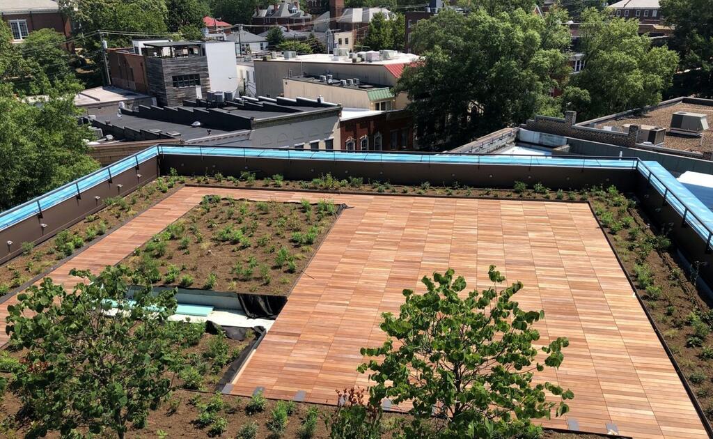 Vegetated Roof and Wood Tile deck amenity space on The CODE Building (Center of Developing Entrepreneurs)