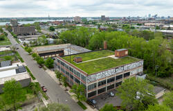 vegetated roof, green roof,