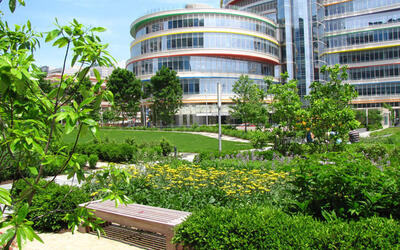 CHOP Ambulatory Care Center