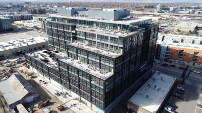vegetated roof, green roof, amenity deck