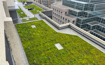 George Mason University