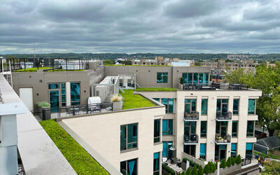 vegetated roof, green roof, amenity deck