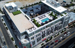 vegetated roof, green roof, amenity deck
